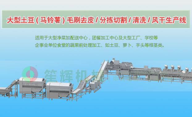 永平连续式土豆去皮清洗切割风干生产线